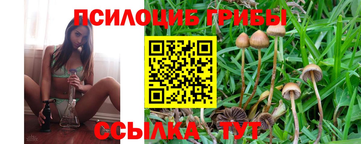Галлюциногенные грибы Cubensis  Вход с VPN  Красноярск 