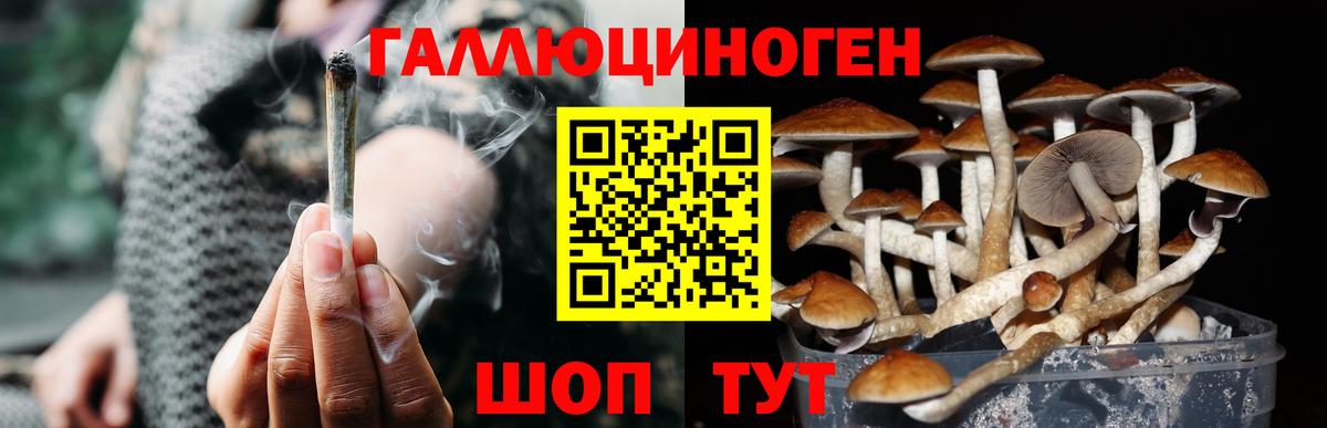 Псилоцибиновые грибы Magic Shrooms Красноярск